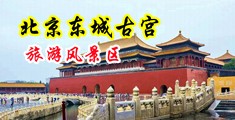 美女脱光光衣服裤子十八岁以下禁止网站看看中国北京-东城古宫旅游风景区